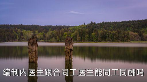 編制內醫生跟合同工醫生能同工同酬嗎