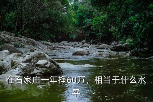 在石家莊一年掙60萬，相當于什么水平