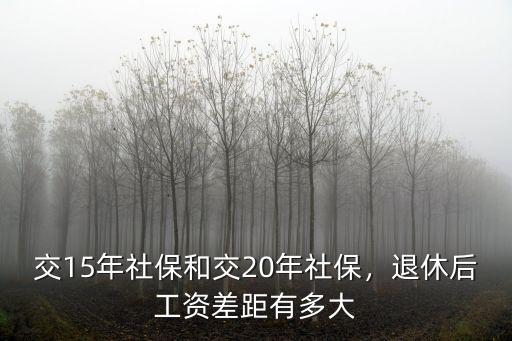 廣西和河北退休工資的差異是多少,河北和浙江哪個(gè)地方退休金高