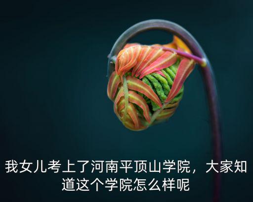 平頂山學(xué)院化學(xué)專業(yè)怎么樣,平頂山學(xué)院怎么樣