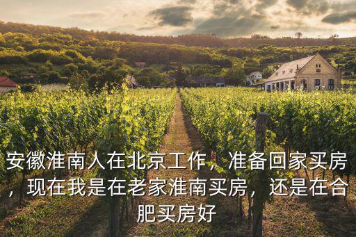 安徽淮南人在北京工作，準備回家買房，現在我是在老家淮南買房，還是在合肥買房好