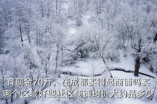 成都哪里有二手商鋪出售,在成都賣套二手商鋪