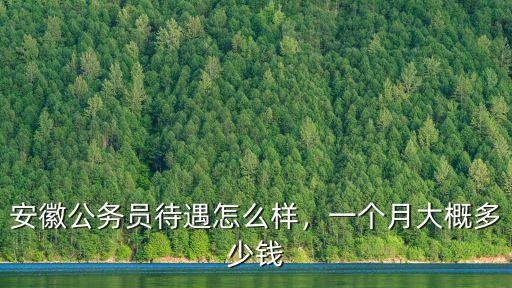 安徽公務員月薪多少,一個月大概多少錢