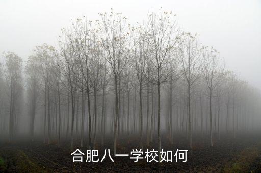 合肥卓越中學升學率多少,合肥卓越中學怎么樣