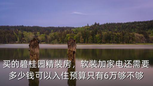 合肥精裝房軟裝設計多少錢,精裝房設計一次貴不貴
