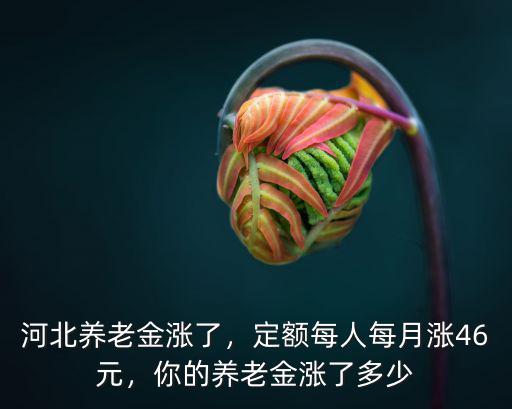 河北省農(nóng)村每月養(yǎng)老金多少,你的養(yǎng)老金漲了多少