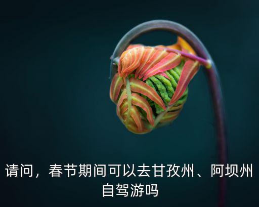 請(qǐng)問，春節(jié)期間可以去甘孜州、阿壩州自駕游嗎