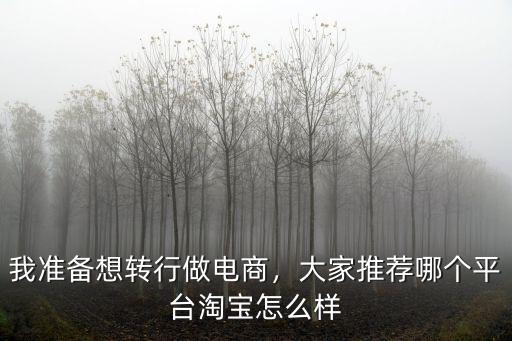 荊門京山電商平臺怎么樣,電商平臺6%到底怎么樣
