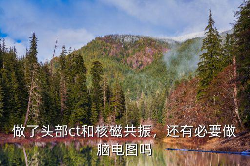 做了頭部ct和核磁共振，還有必要做腦電圖嗎