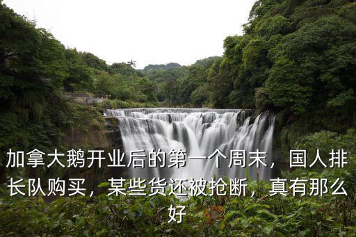 鄭州哪里有賣加拿大鵝的,加拿大鵝中國有專柜嗎