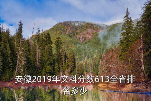 安徽2019年文科分數613全省排名多少