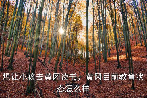 黃岡的高考怎么樣,黃岡目前教育狀態怎么樣