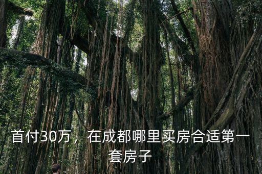 首付30萬，在成都哪里買房合適第一套房子