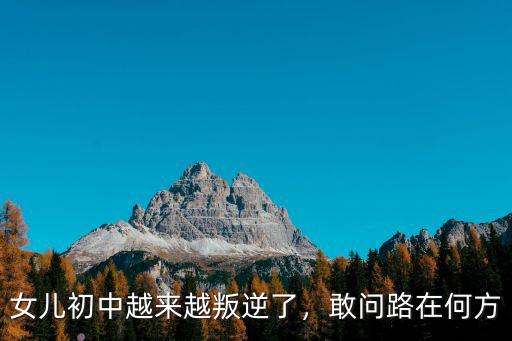 湖北初中女生叛逆怎么辦,初中叛逆女孩該怎么辦