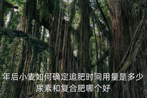 小麥3個15復合肥拔節追多少尿素,尿素和復合肥哪個好