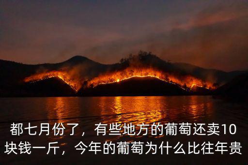 邢臺葡萄的價格多少錢一斤,近期葡萄價格多少錢一斤