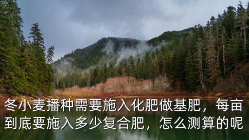 冬小麥播種需要施入化肥做基肥，每畝到底要施入多少復(fù)合肥，怎么測算的呢