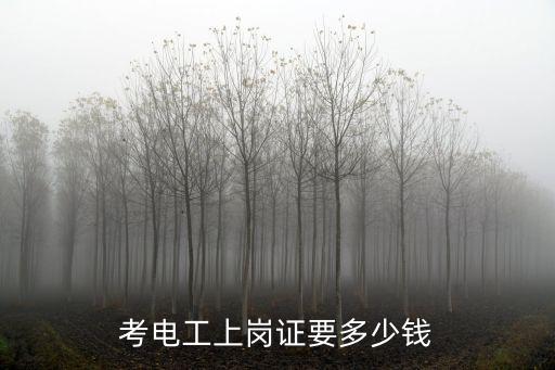 考電工上崗證要多少錢