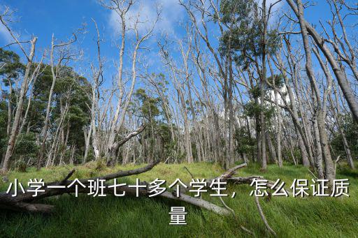 小學一個班七十多個學生，怎么保證質(zhì)量