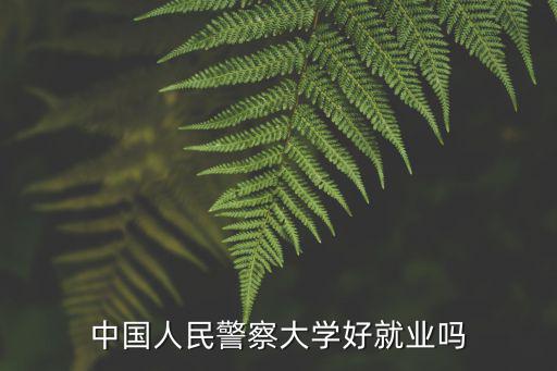 中國人民警察大學廊坊有多少學生,中國人民警察大學好就業嗎