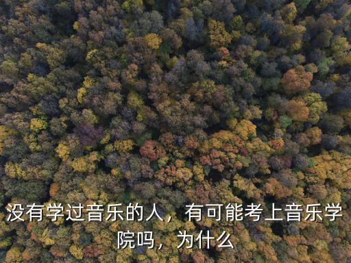 河北省有多少人考上了音樂學院,有可能考上音樂學院嗎
