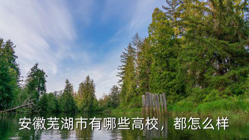 安徽蕪湖市有哪些高校，都怎么樣
