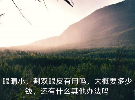 眼睛小，割雙眼皮有用嗎，大概要多少錢，還有什么其他辦法嗎