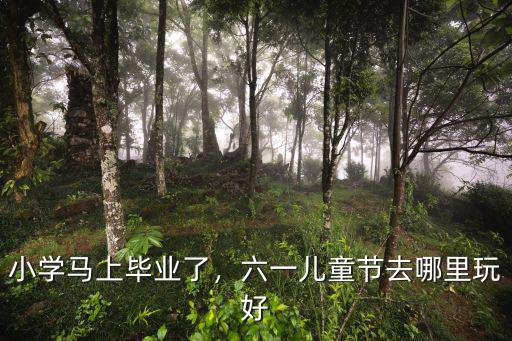 遂寧六一兒童節去哪里,六一兒童節去哪里玩好