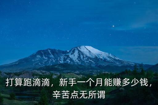 打算跑滴滴，新手一個月能賺多少錢，辛苦點無所謂