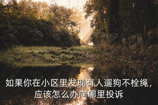 成都遛狗不牽繩攻擊人在哪里舉報,小區遛狗不牽繩到哪里舉報