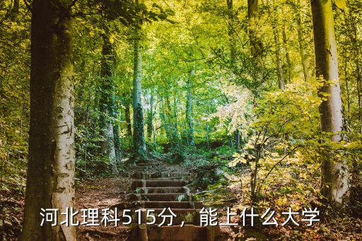 河北理科515分，能上什么大學