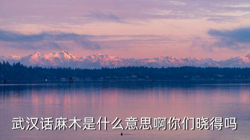武漢話麻木是什么意思啊你們曉得嗎