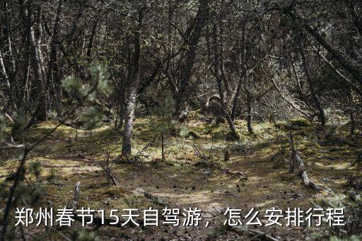 鄭州春節15天自駕游，怎么安排行程