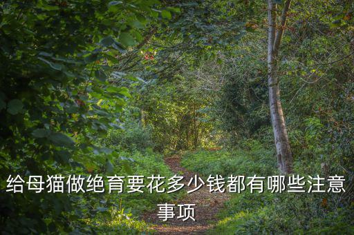 保定市公貓絕育多少錢(qián),公貓絕育多少錢(qián)
