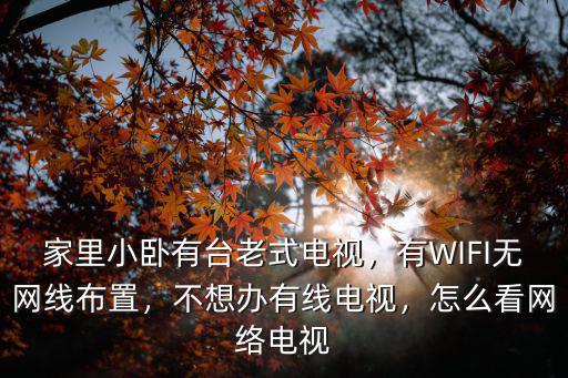 河南有線電視怎么看網絡視頻,怎么看網絡電視