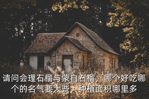 四川省會理哪里石榴多,請問會理石榴與蒙自石榴