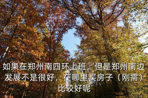 如果在鄭州南四環上班，但是鄭州南邊發展不是很好，在哪里買房子（剛需）比較好呢