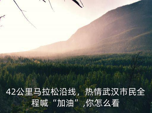 怎么看待嘴上喊著武漢加油,有的人一面喊著武漢加油