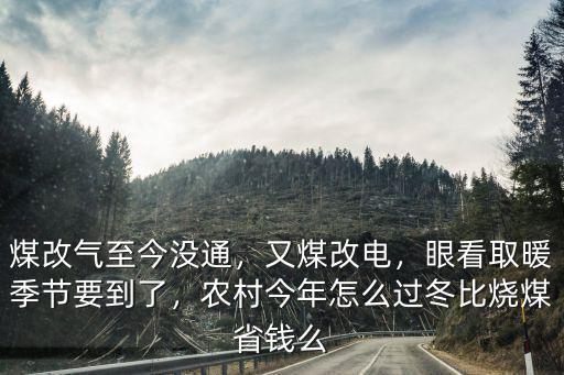鶴壁怎么過(guò)冬,橡皮樹(shù)怎么過(guò)冬