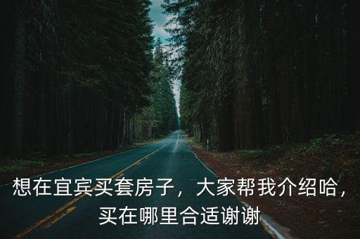 宜賓城區商場在哪里,宜賓未來的發展中心會在哪里