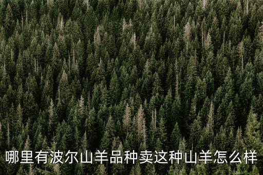 哪里有波爾山羊品種賣這種山羊怎么樣