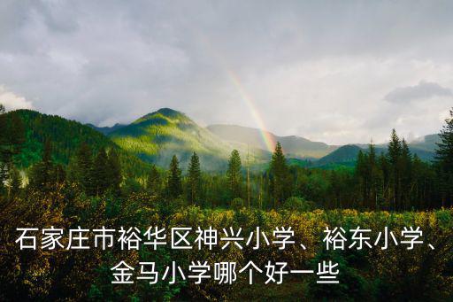 石家莊市多少小學,石家莊市裕華區神興小學