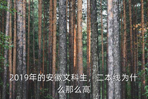2019年的安徽文科生，二本線為什么那么高