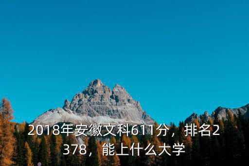 2018年安徽文科611分，排名2378，能上什么大學
