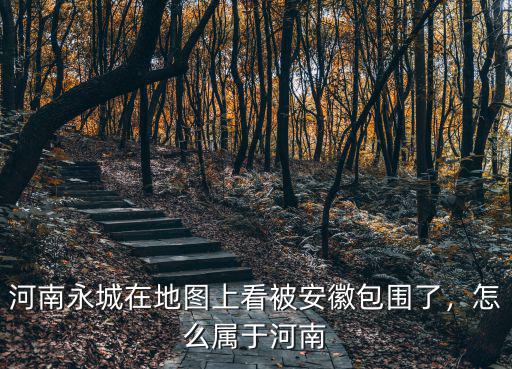 河南永城華冠面粉公司怎么打款,怎么屬于河南