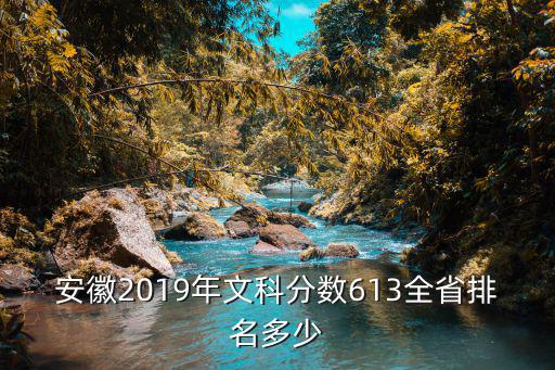安徽2019年文科分數613全省排名多少