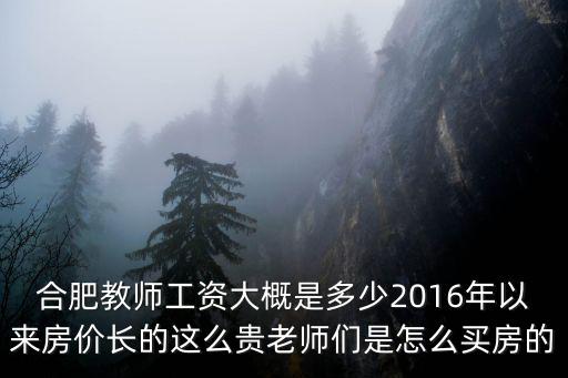 合肥爵士舞老師工資多少,合肥的教師工資大概是多少