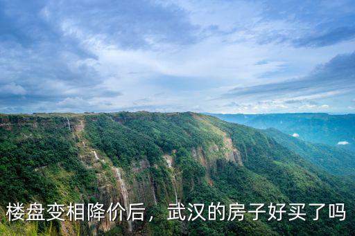 武漢房子降價了怎么辦,武漢的房子好買了嗎