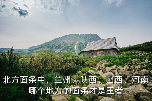 河南?烙面是哪里的,河南哪個地方的面條才是王者