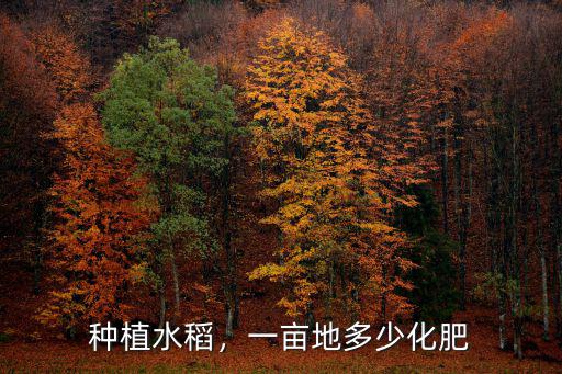 一畝田水稻用多少復合肥,一畝田水稻用多少肥料